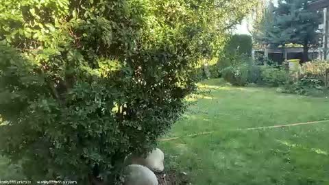 Andreea online show from August 3, 4:49 am