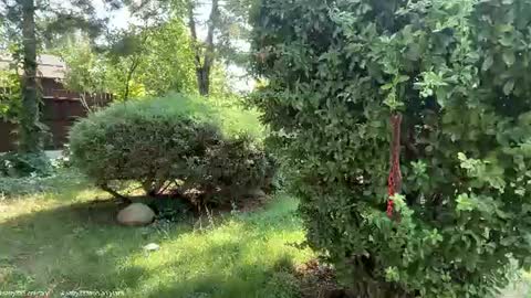 Andreea online show from July 6, 1:05 pm