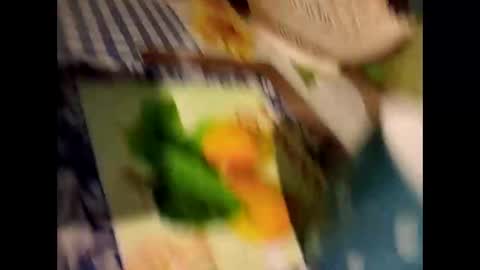 PattiLynn online show from January 9, 9:30 pm