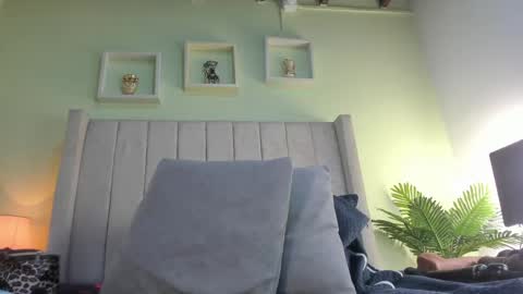 patty online show from May 20, 11:51 am