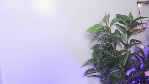 Paula online show from October 29, 10:12 pm