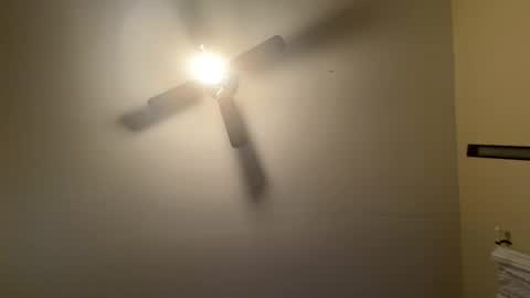 Perid0t Princess online show from December 13, 5:16 am