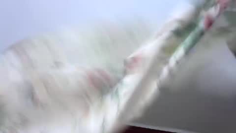 petitegirly12 online show from February 10, 2:41 am