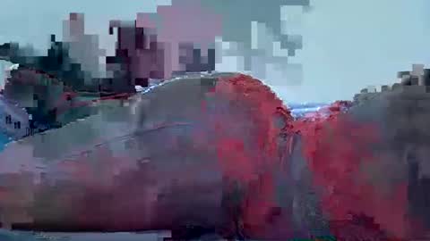 pickle_fingers online show from May 26, 2:55 am