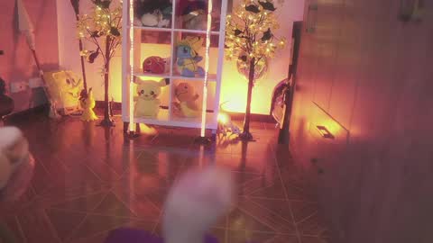 LUISA online show from May 20, 6:49 pm