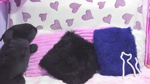 Pinky Purr online show from September 24, 9:41 am