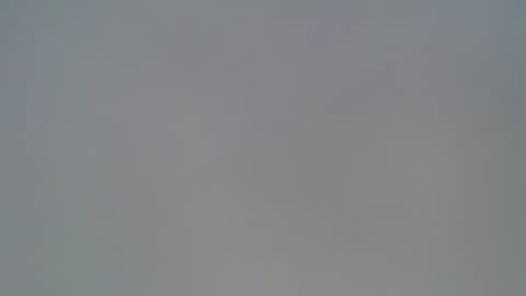 playboytit online show from November 21, 6:15 am