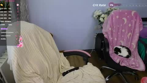 Masha online show from May 16, 10:36 am
