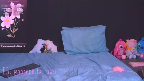 Pobechita UWU online show from May 25, 4:11 am