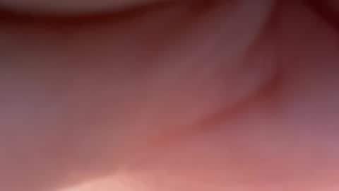 Polly Pocket online show from March 19, 7:13 am