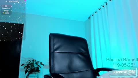 paulina barnett online show from May 20, 3:03 am