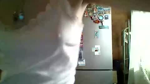 Bella online show from May 24, 4:33 am
