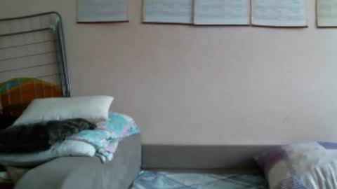 Bella online show from October 22, 12:10 pm