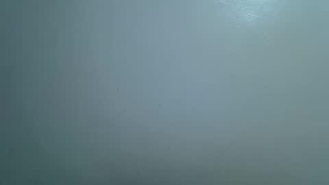 prettybooty1 online show from October 14, 7:38 pm