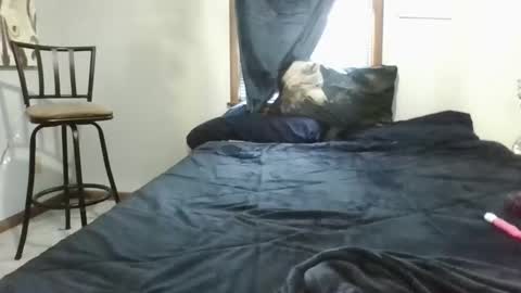 prettyp7729206 online show from November 11, 8:28 pm