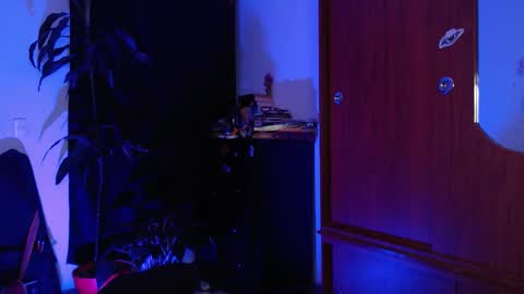 raventh_ online show from January 14, 12:15 am