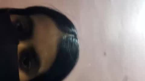 riya_malik online show from May 26, 1:10 pm