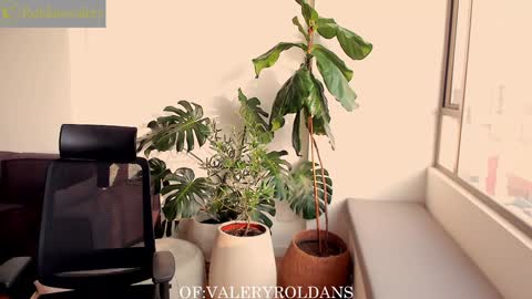 Snapshot of roldansvalery chatting on December 13, 9:51 pm Valery Roldans online show from December 13, 9:51 pm