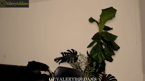 Snapshot of roldansvalery chatting on February 4, 3:44 am Valery Roldans online show from February 4, 3:44 am