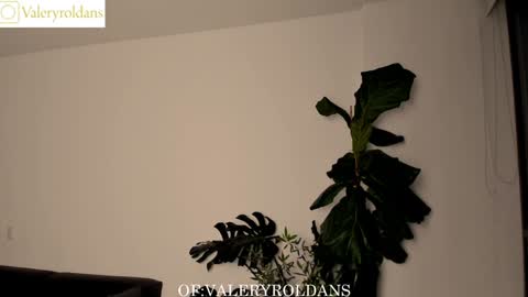 Snapshot of roldansvalery chatting on February 5, 2:51 am Valery Roldans online show from February 5, 2:51 am