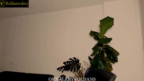 Snapshot of roldansvalery chatting on December 24, 1:16 am Valery Roldans online show from December 24, 1:16 am