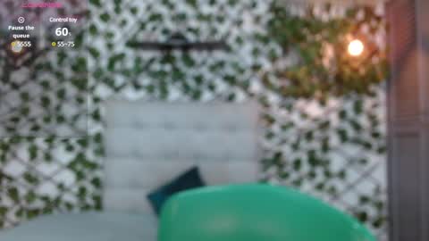 Rous online show from December 31, 6:13 pm