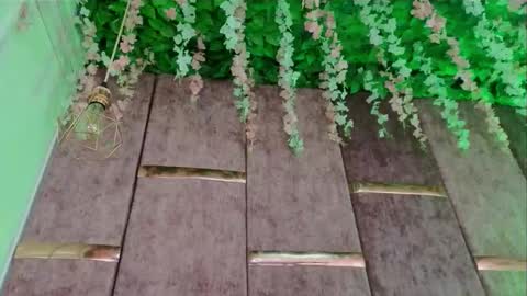 rynka online show from February 15, 7:51 am