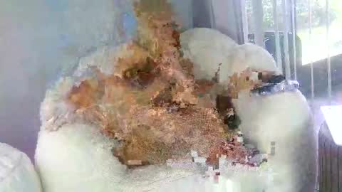 Samatha James online show from March 31, 7:03 pm