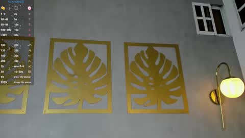 Sara online show from December 27, 1:18 pm