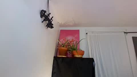 Snapshot of saradesirexo chatting on February 3, 2:03 am Sara Desire online show from February 3, 2:03 am