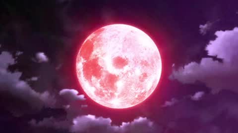 Selene G  online show from May 13, 3:12 am