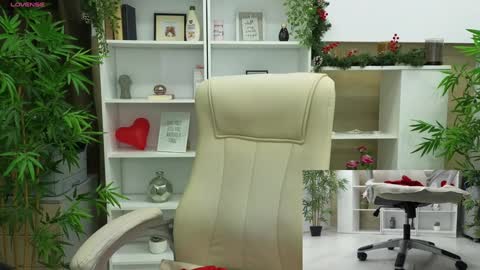 Seline online show from December 12, 4:53 pm