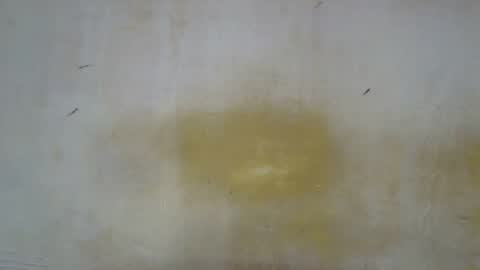 sexy_candy9 online show from November 12, 11:52 am