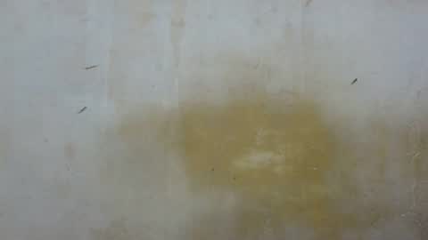 sexy_candy9 online show from March 24, 9:03 am