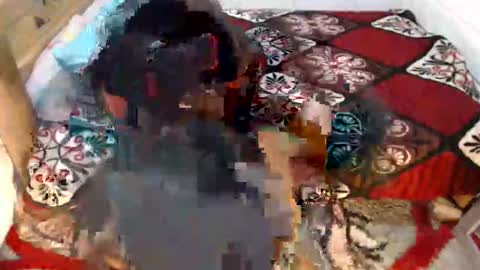 sexyjustin202 online show from March 3, 11:44 pm