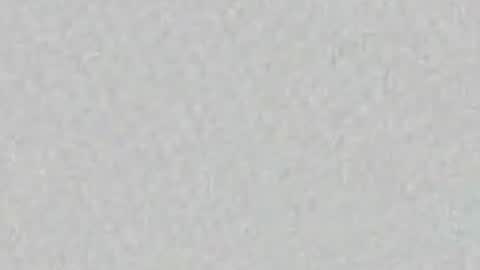 regina online show from April 29, 9:56 am