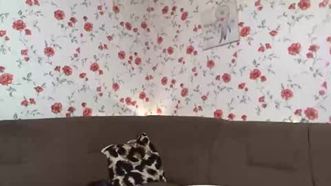 Sky online show from December 10, 1:00 pm