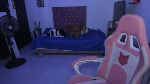 sophie doll online show from June 25, 2:33 am