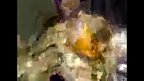 cuttie online show from May 23, 6:39 pm