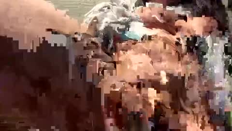 Sammi online show from December 16, 7:32 pm