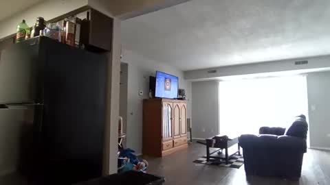 Kova online show from November 11, 3:42 pm