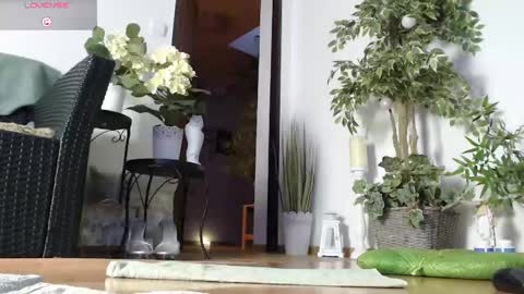 Snapshot of squirtmanica chatting on March 8, 5:14 am Monica online show from March 8, 5:14 am