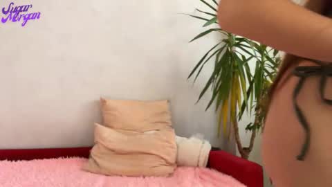 Morgan online show from February 6, 5:00 am