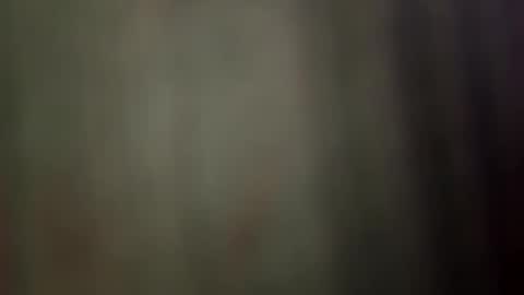 suly online show from April 2, 4:43 am