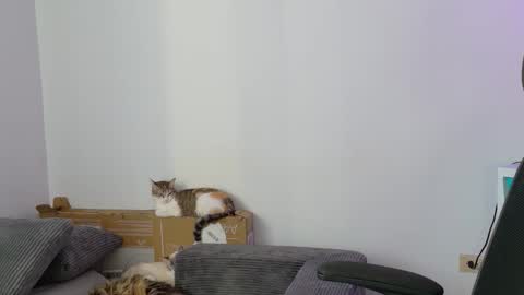 Susana online show from May 14, 4:35 pm