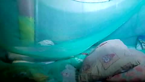 sweet818957 online show from December 15, 1:46 am