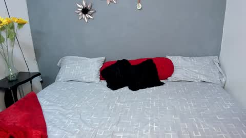Sweet Amanda95 online show from December 3, 12:16 pm
