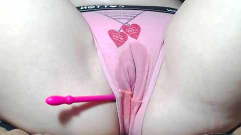 Kitten online show from May 8, 9:01 am