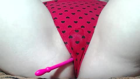 Kitten online show from May 17, 1:10 pm