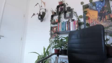 Tali Majid online show from October 31, 12:20 pm